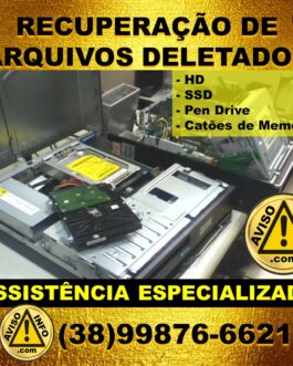 RECUPERAÇÃO DE ARQUIVOS PERDIDOS OU DELETADOS [A combinar]